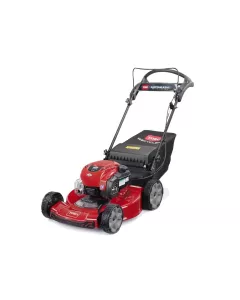 Toro Recycler Rasenmäher