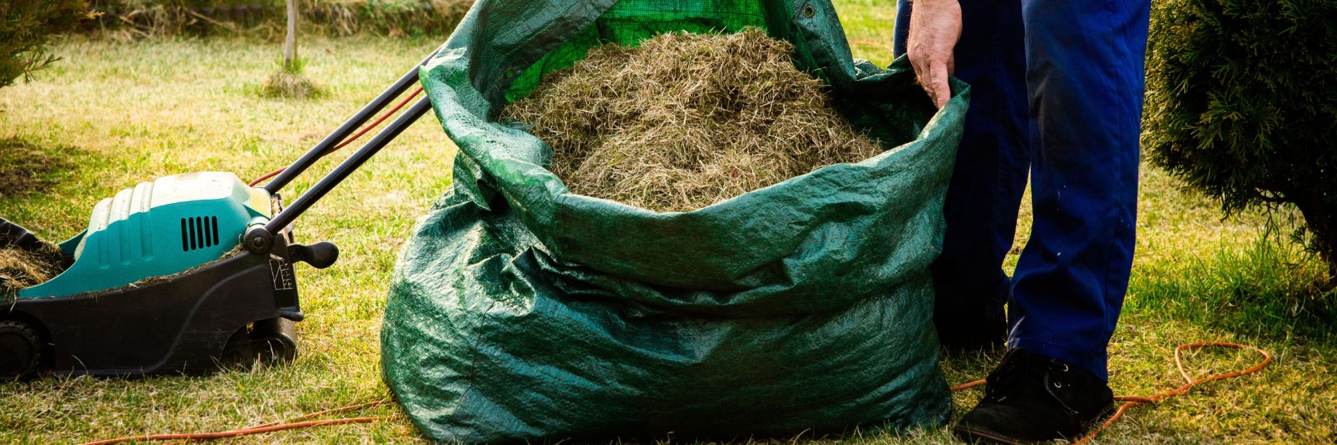 Person vertikutiert im Herbst den Rasen und sammelt den Rasenschnitt ein einen grünen Laubsack